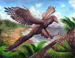 archaeopteryx-15.jpg